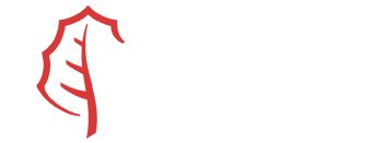 eolico_acciona